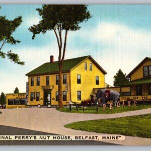 Vintage Maine Postcard Lot of 5 -A Great Collection #1022